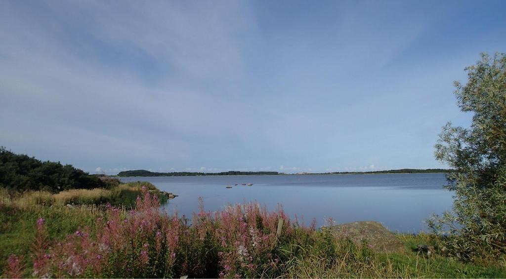 Undersøkelser i Jærvassdragene 2018 Åge