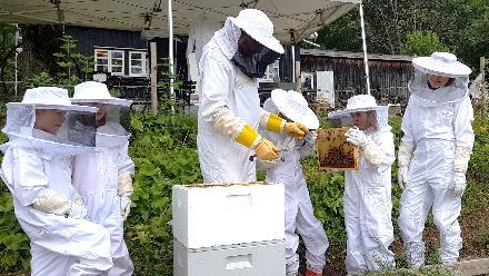 Pedagoger og birøktere har i fellesskap utviklet et undervisningskonsept knyttet til Bienes verden, til bruk for barn og unge.