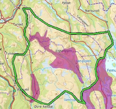 LANDSKAP, FRILUFTSLIV, REISELIV OG KULTURMINNER Sølen landskapsvernområde er nevnt Området rundt Elgpiggen er viktig for