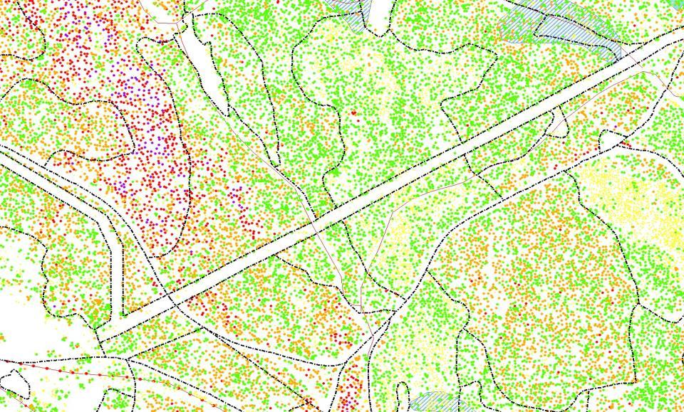 LASERMÅLTE DATA OM HVERT TRE I SKOGEN, SKOGSDRIFTA ULLEVOLDSETER VISER TRÆRNE SOM PUNKTER, MED FARGE ETTER