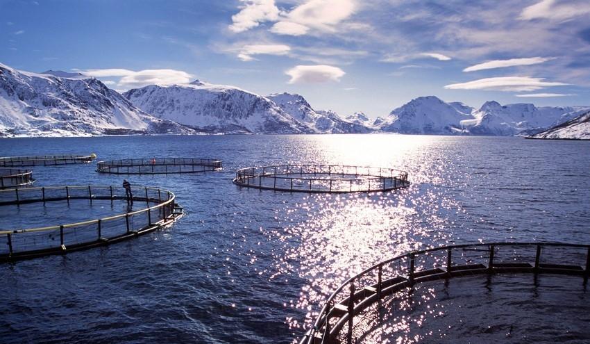 FAKTAARK M-735 2017 Oppdrettsanlegg i sjø. Foto: Fylkesmannen i Nordland Forurensningsmyndighetenes forventninger til oppdrettsanlegg i sjø Oppdrett i sjø medfører påvirkning på det ytre miljøet.
