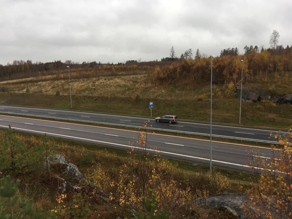 DAGENS SITUASJON Hele planområdet er i dag dekket av vegetasjon. I hovedsak er det gråor som vokser i området, mens ut mot E18 er det gras som dominerer. Det renner en bekk igjennom området.