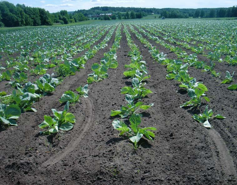 JOVA er et nasjonalt overvåkingsprogram for landbruksdominerte nedbørfelt.