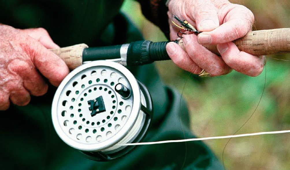 Her er ikke fisken stor, men til gjengjeld er det mange