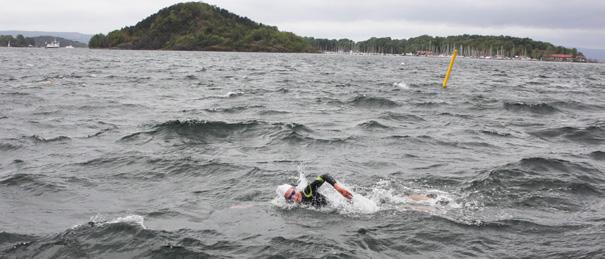 Prestasjonsutvikling og toppidrett MÅL, DELMÅL OG STRATEGIER Open Water Mål: Arrangere 15 Open Water konkurranser årlig Delmål 1: Videreføre NM i Open Water Delmål 2: Etablere flere mosjonsstevner og