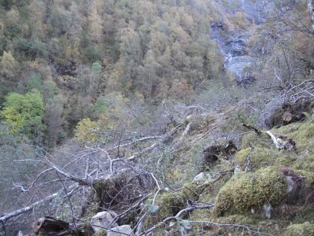 landets topografi, noe lokaliteten i middels grad oppfyller.