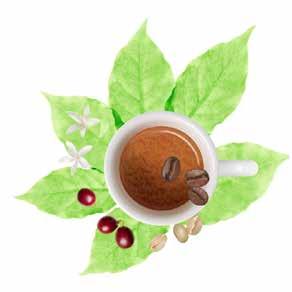 illy kjøper 100% av sin råkaffe direkte fra kaffefarmene, og jobber tett med disse for å sikre topp kvalitet og bærekraftig produksjon av kaffen.