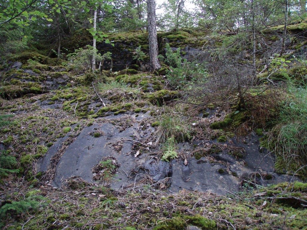 Lokaliteten går langs bruddkanten i