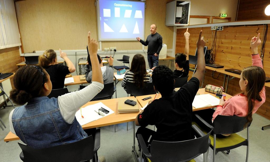 Skolerapport skole Antall besvarelser: 113