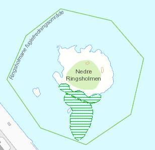 Ålegrassamfunn Frierfjorden, 5,6 daa, BN00075826 Ålegrassamfunn. Lokalt viktig (C). Ringsholmane S. 2,1, daa, BN00080875 Bløtbunnsområde i strandsonen.