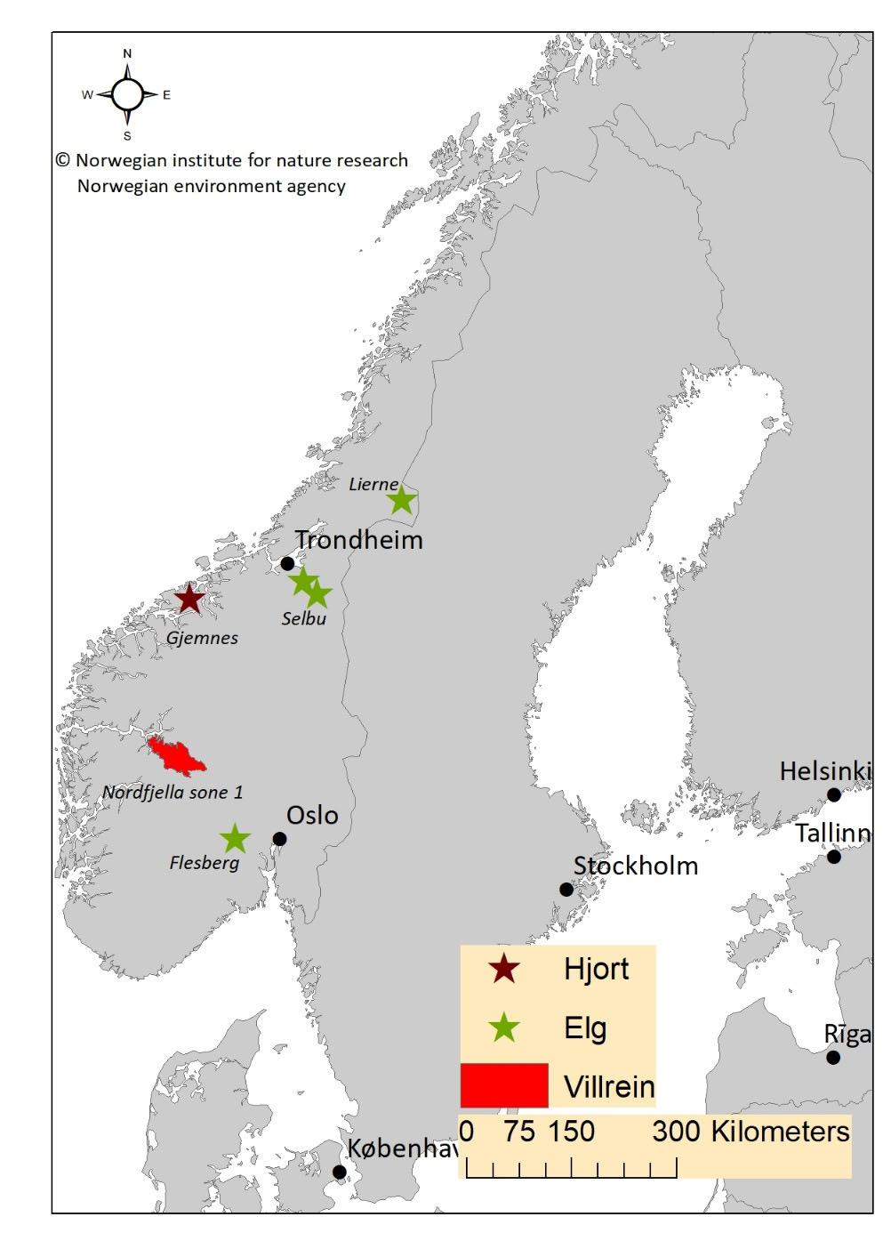 Figur 3.1. Steder med funn av klassisk CWD hos villrein, og atypisk CWD hos elg og hjort i Norge i 2016, 2017 og 2018. Tabell 3.2. Tilfeller av atypisk CWD i Norge i 2016, 2017 og 2018.