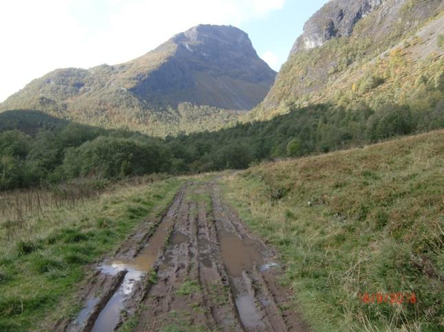 Myrjorda på vegbanen skal bytast ut med grus og stein frå Bringebærgrovi. I tillegg skal det leggjast ned stikkrenner og grøftast. Arbeidet er planlagt utført våren 2019. Hjølmovegen, foto frå søknad.