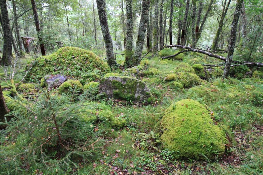 skred/steinsprangvifta og vorte avsett her.