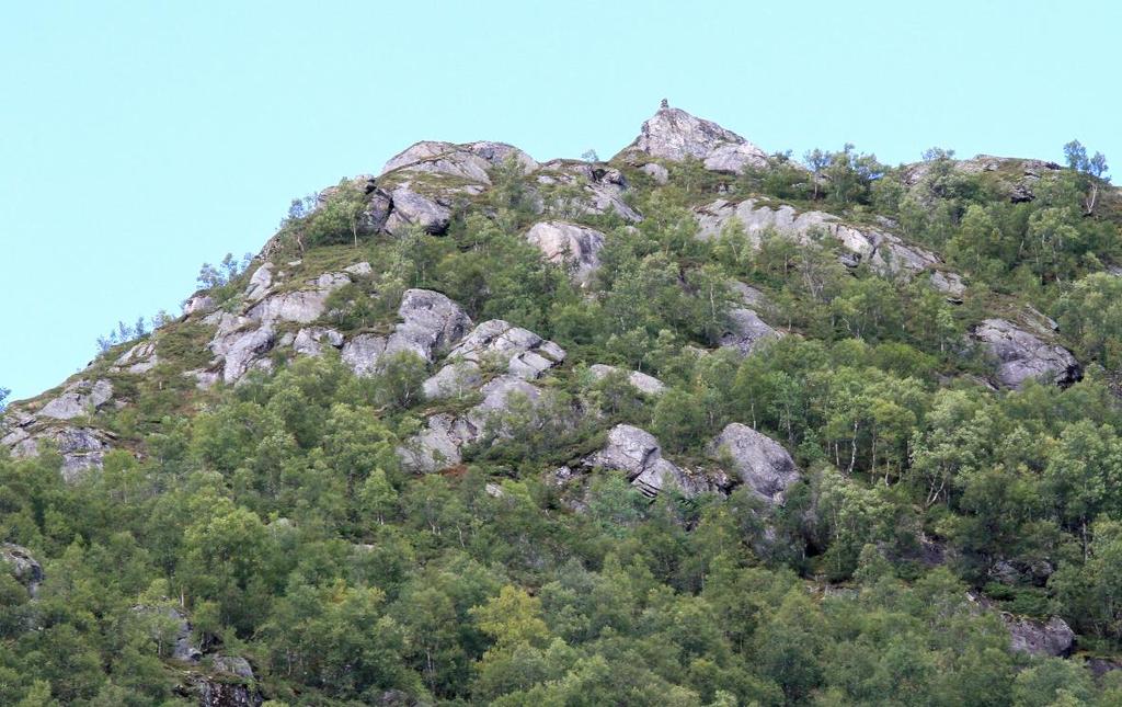 Her kan ein observere at sprekkene definerer steinblokker av ulik størrelse som har potensiale til å bli utløyst frå fjellsida.