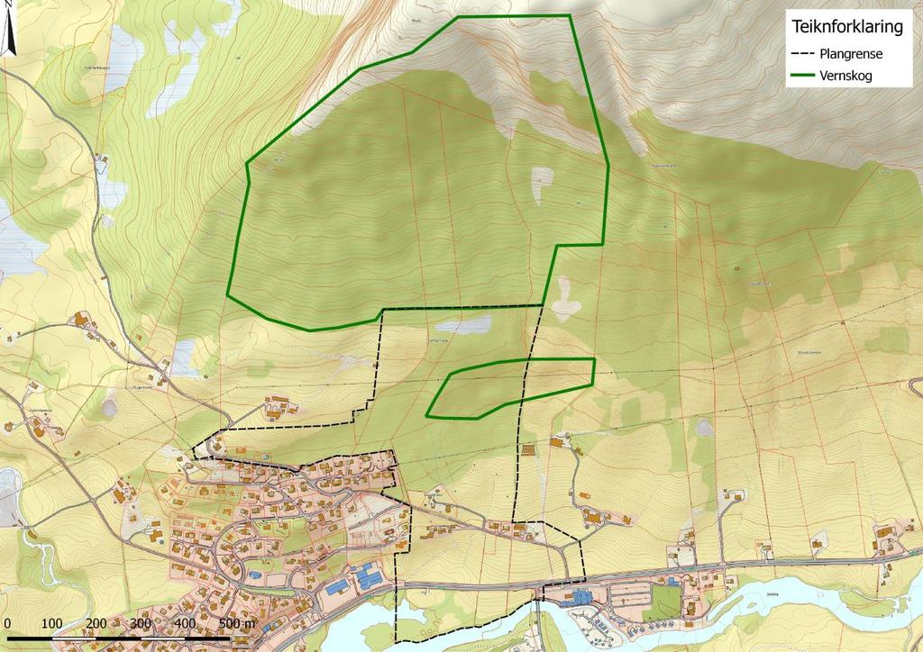 Figur 36: Område der skogen har eigenskapar som hindrar utløysing av skred er markert med grønt omriss.
