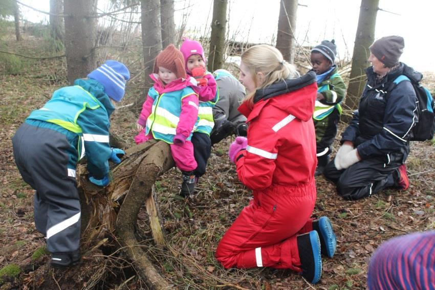 BÅTEN I SKOGEN På tur i skogen med hele gjengen. De finne pinner og slår på trærne og synger. De finner øynene til trollene, og gir det litt mat. De fant et tre som hadde falt som de ville sitte oppå.