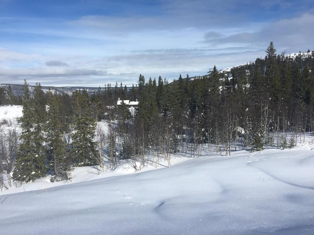 Figur 4: Området sett fra skiløypa i