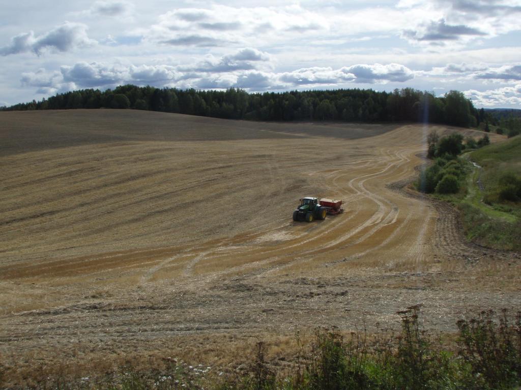 Jordarbeiding til høstkorn Pløying gir sikrest resultat Forbud mot pløying av erosjonsutsatt jord