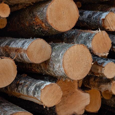 BIOMASSE FORDELING I BJØRK [%] Biobrensel 4,5 25,6 Tradisjonell bruk av tømmeret 40 Blir igjen i skogen 29,9 GROT Stubber