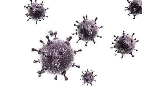 Colourbox Influensavirus Influensa A