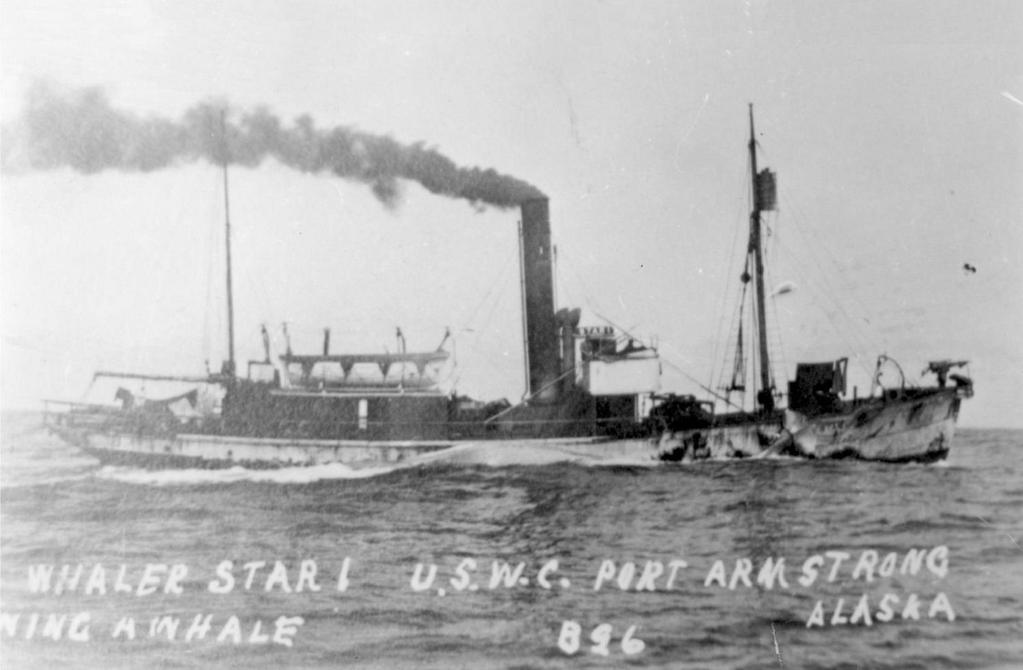 SFJ00319210220001 DS/Hvb STAR I. Bilde utlånt av Anders Christiansen. 1921 DS/Hvb STAR I (1) (SFJ003192102) Type Dampskip, hvalfanger steam ship, whale catcher Off.