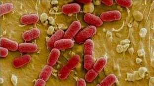 Antimikrobiell effekt Formaldehyd har generell antibakteriell effekt (New Engl J Med 2009;360:e3) Mekanisme omfatter kryssbinding av