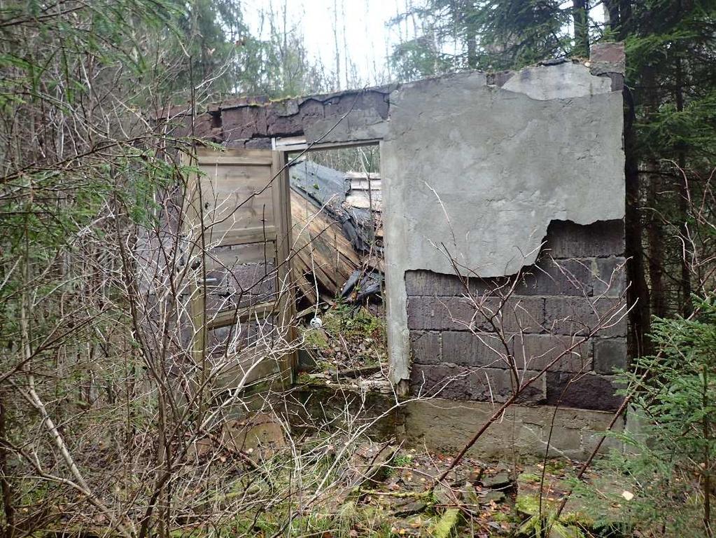 Foto 1: Rester av et anlegg/bygning ved bekken som renner