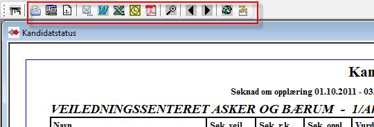 2. Rapporter med utvalg Fra rapport-fanen får du frem ulike gruppe-rapporter. Forhåndsvist rapport - Info om innhold, bearbeiding og utskrift Det er tre knapper for utskrift.