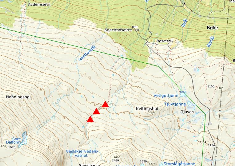 Fellingvatnet, Reinheimen Dette er et vassfangstanlegg, med ledegjerder opp mot 3 kilometer lange. Muret fangstgrop og et større antall bågåstø rundt.