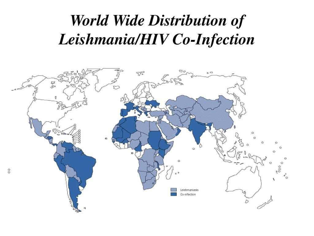 Leishmaniasis Sykdommen forekommer endemisk i Asia, Afrika, amerikanske kontinent og Middelhavsområdet. WHO: 700 000-1 million nye tilfeller med ca 20-30 000 dødsfall årlig.