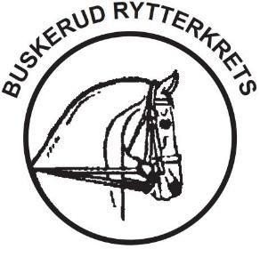 Årsmelding Buskerud Rytterkrets 2018.