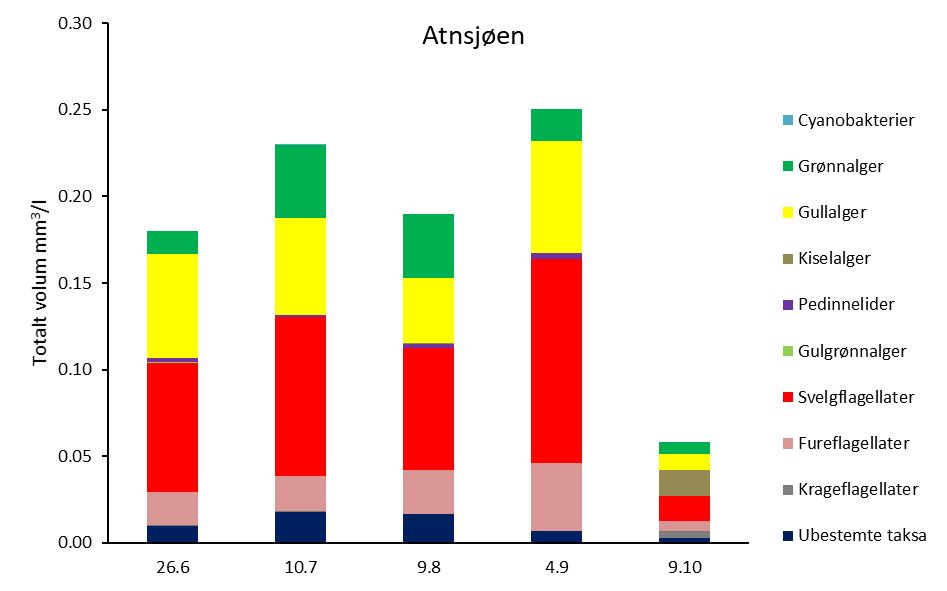 Siktedyp og farge fremgår av tabell 2.3.2. Generelt er sikten i Atnsjøen høy. Verdiene målt i 2018 ligger innenfor det som er målt tidligere.