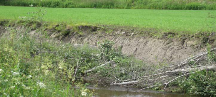 April 2013 I april 2013 ble om lag 10 meter med trær fjernet langs elva på grunn av linjerydding