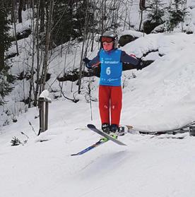 Freestyle Klubber som vil arrangere freestylerenn må bruke rennformene: Kulekjøring Skicross Slopestyle Langrenns-cross To av tre renn bør arrangeres som langrennscross.