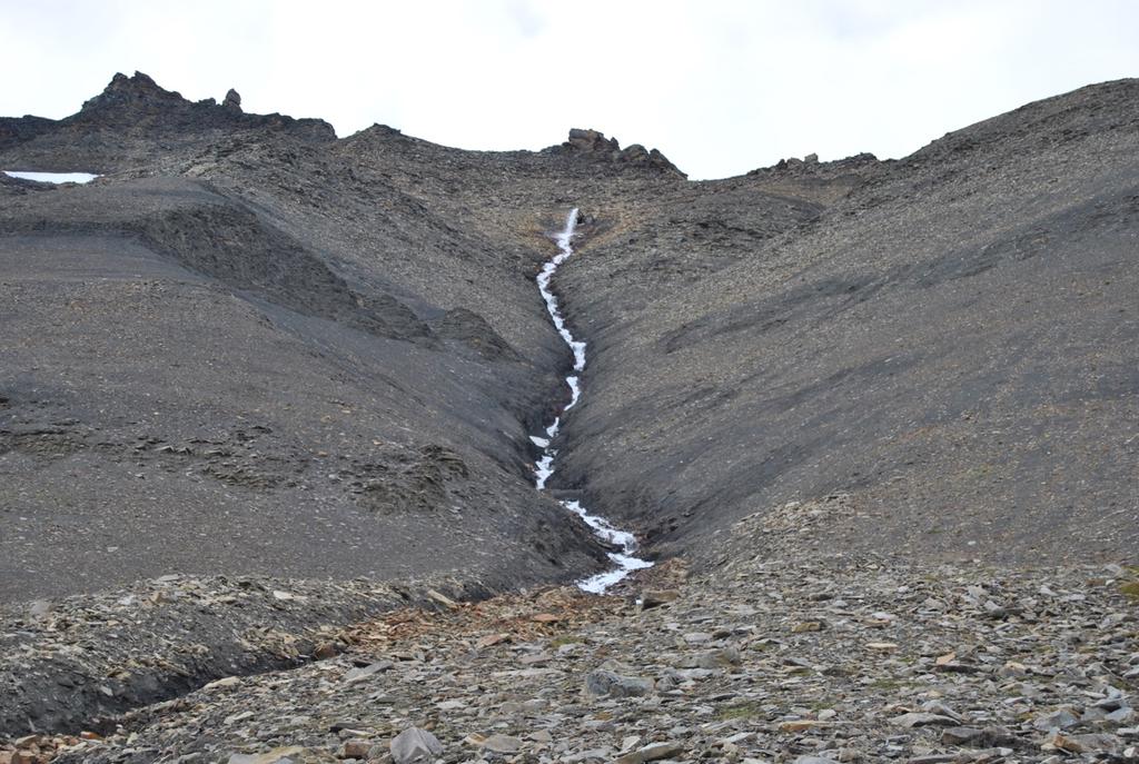 Undersøkelser av vegetasjon langs dreneringsvei for vann fra Gruve 7 til Foxdalen Ecofact rapport 537 Figur 3.1.