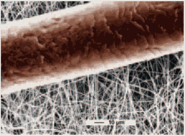 Nanoteknologi Naturen har alltid hatt nanoskopiske strukturer Mineralsk Bergarter, leire, jord Biologiske Organismer,