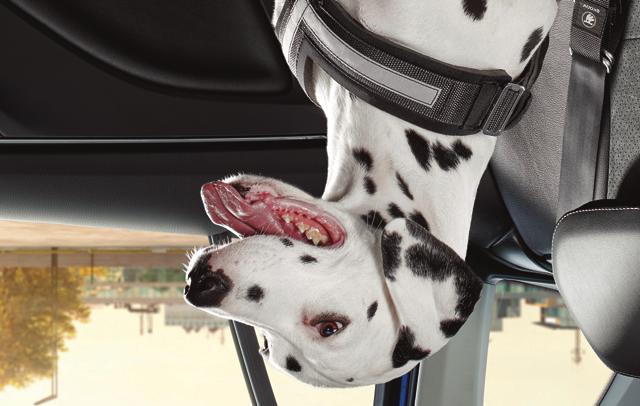 SIKRING AV HUND I BIL 4Pets hundebur - skreddersydd for din Kombinerer estetikk og løsninger tilpasset daglig bruk.