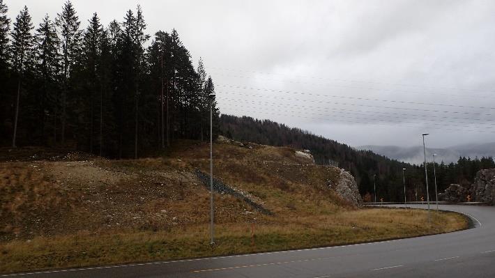 Søndre del av planområdet omfatter gårdstunet ved Bergtun, samt noe