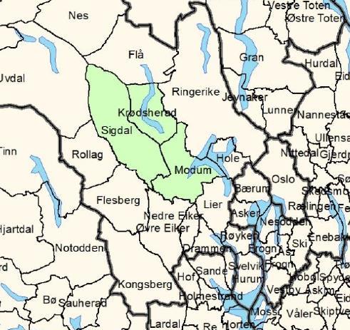 Samtidig er Midt-Buskerud regionråd det minste regionrådet i Buskerud, og har slik sett også begrenset tyngde og slagkraft.