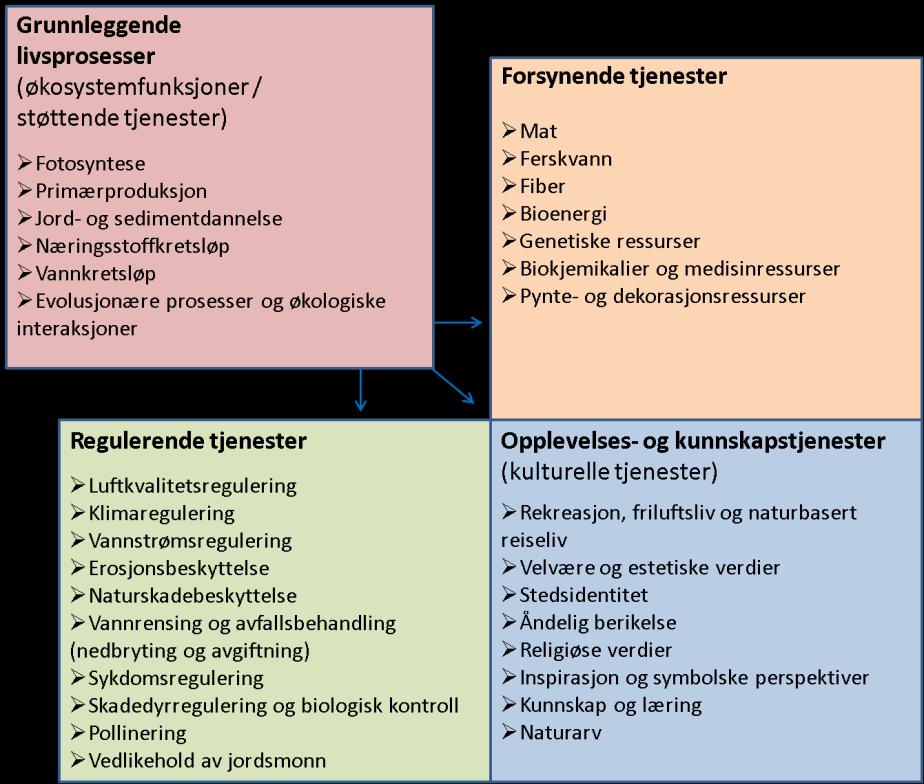 Kategorisering av økosystemtjenester i norsk NOU: Støttende, forsynende, opplevelse- og kunnskapstjenester, og regulerende økosystemtjenester Økosystemtjenestene deles gjerne inn i fire kategorier: