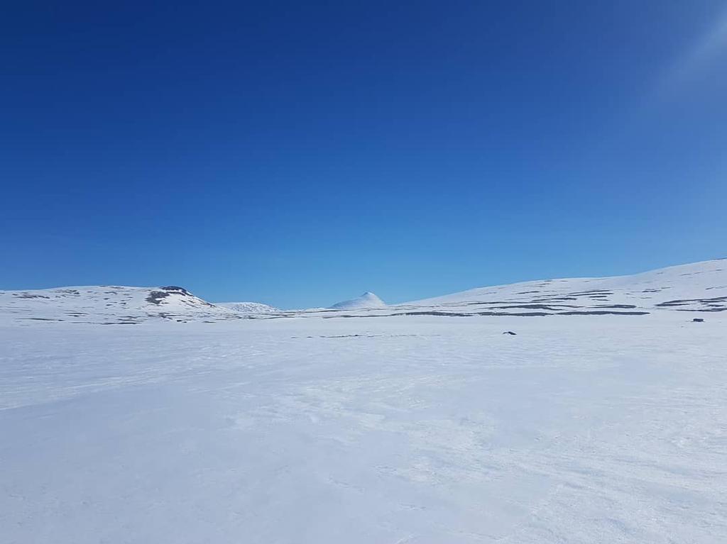 Foto: Elgpiggen sett fra