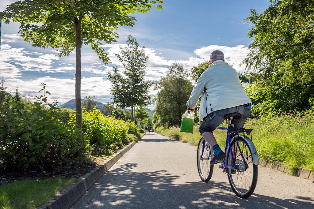 Årsbudsjett 2019 BYMILJØPAKKEN