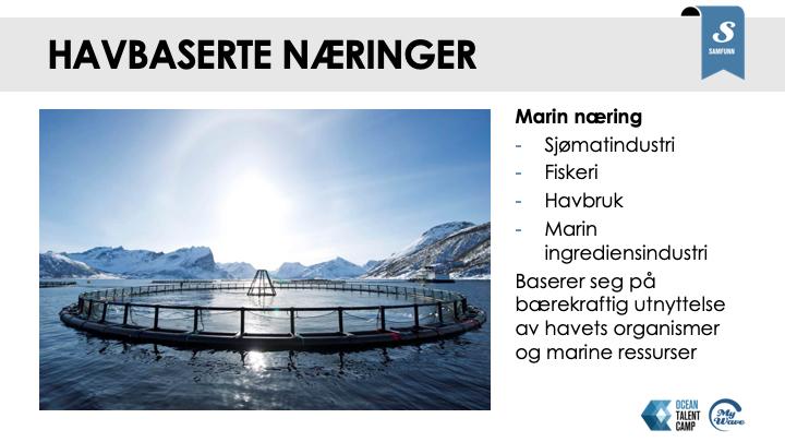 Sjømat: Norge har alltid vært en fiskerinasjon Norge er store på oppdrett og marine ingredienser Sikrer Norge og verden