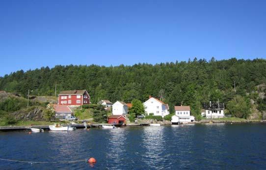 Dirnesheia, rett over Oksefjorden på Borøya, har kompassrose tidfestet til 1590-1620. Her skal også være noen innskripsjoner.