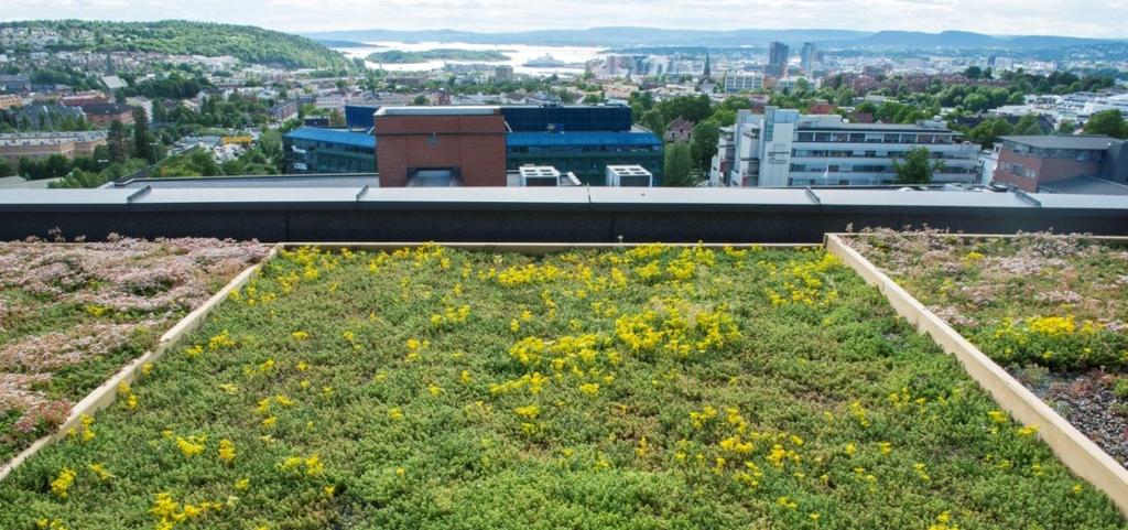 Utfordring 2: Hyppigere flom og større