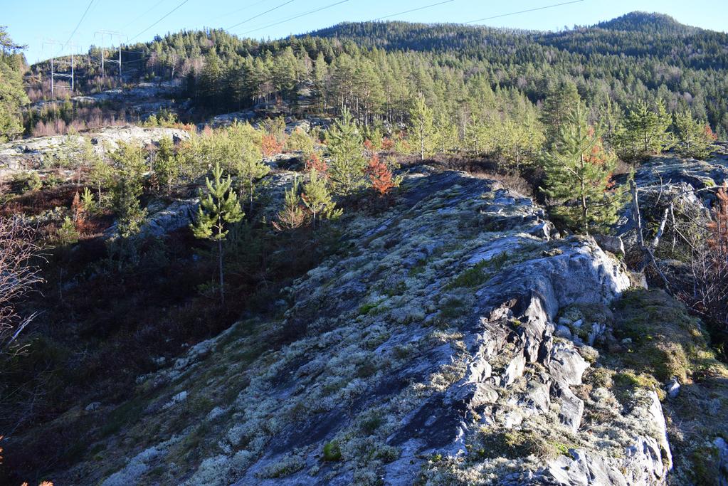 Region sør Ressursavdelingen Vegteknisk 2019-06-05 Geologi E134 Århus-Seljord.