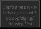 HESO seksjon psykisk helse og rus Psykisk helse og rus Hilde Rosenlund Henvendelser -bolig, psykisk helse og rus tj. Leder Marita Forstrøm Johansen Oppfølgingstjenester psykisk helse og rus tj.