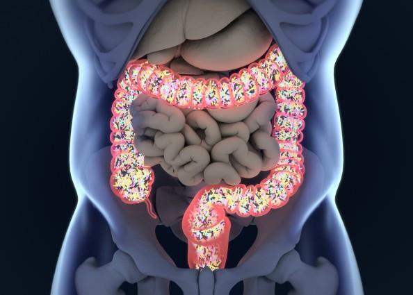 Mulige årsaker til forstoppelse Manglende avspenning i lukkemuskelen Dårlig muskelkraft i tarmer og bukområde Parese i tarmen : intestinal