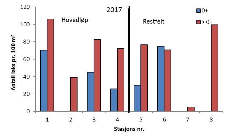 Figur 3. Tettheter av ensomrig () og eldre (>) laks pr. 1 m 2 på kvantitative stasjoner i Kongsfjordelva i perioden 214-217.