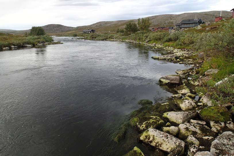 I elven ut av Buetjernet har det i siden 214 blitt registrert laks og aure (både årsunger og eldre) og eldre røye. Elven er viktig for produksjon av fisk og er ca. 38 meter lang.